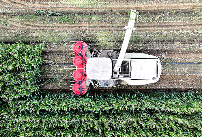 Forage Silage LS-M 4500 Header