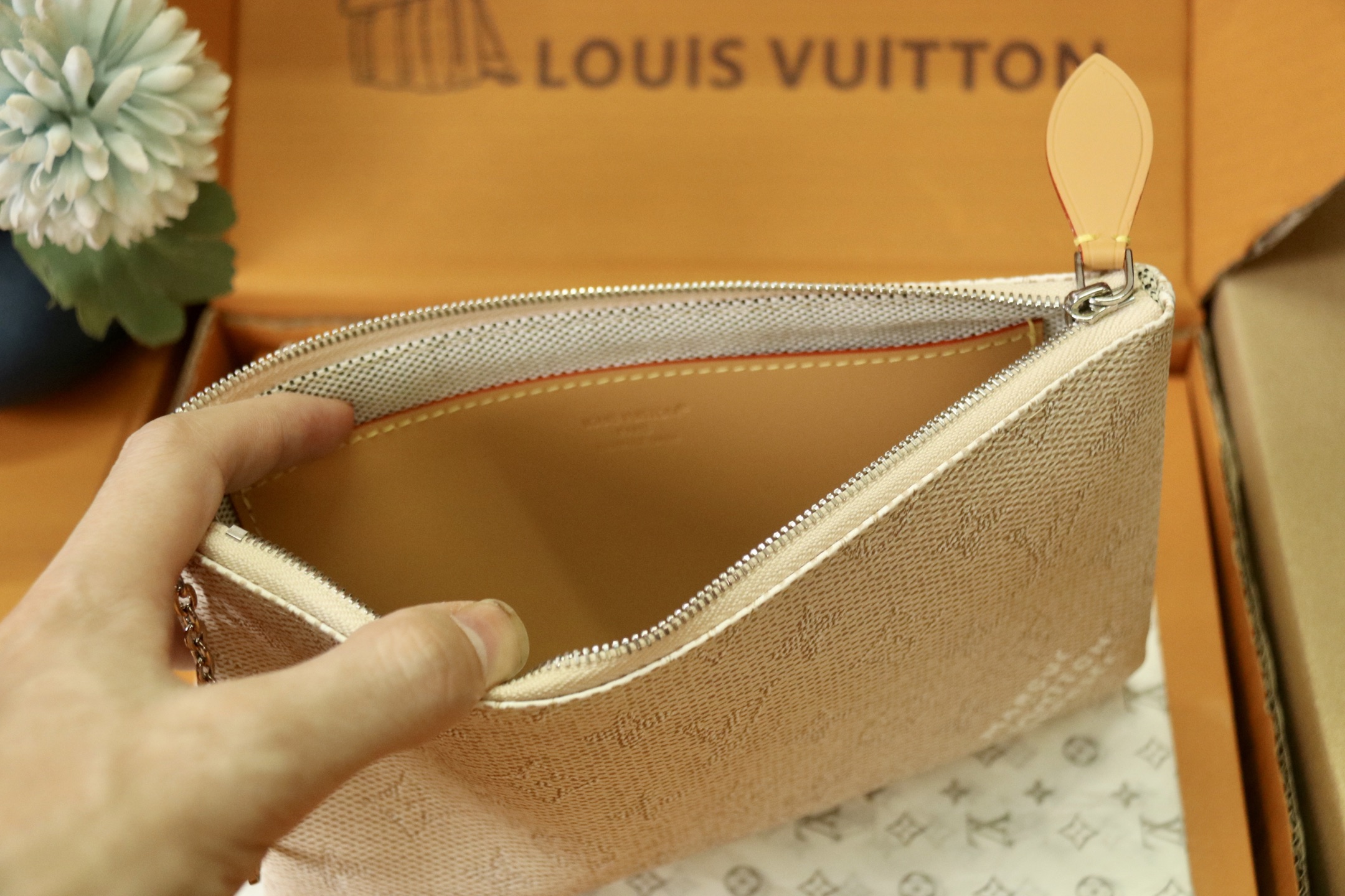 Louis Vuitton Pochette Accessoires Bag