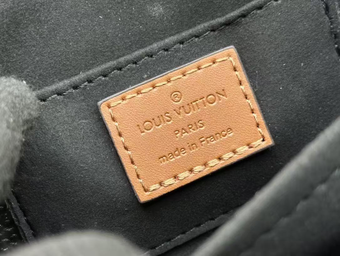 Louis Vuitton Dauphine East West Bag