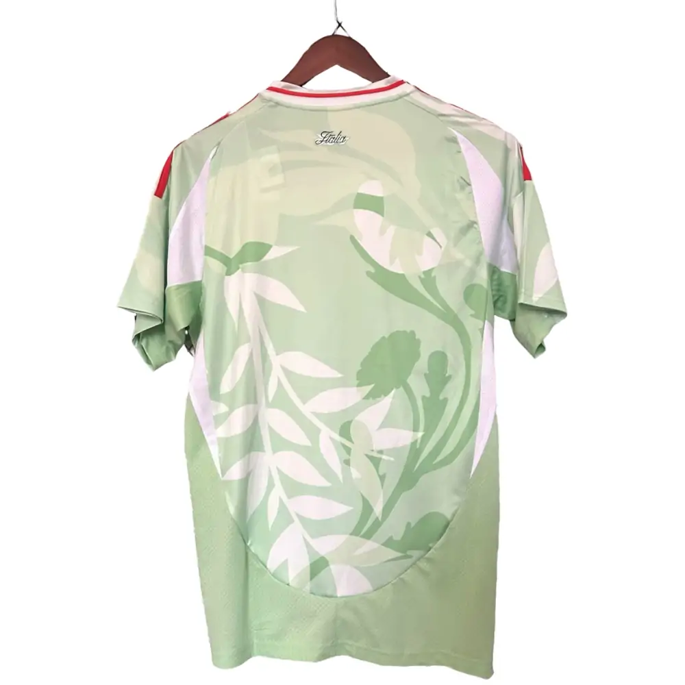 {{product_name}} High Quality Replica Football Jersey