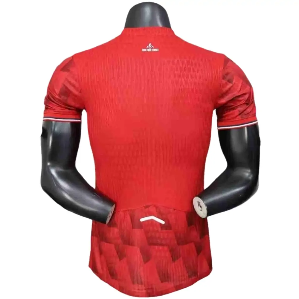 {{product_name}} High Quality Replica Football Jersey