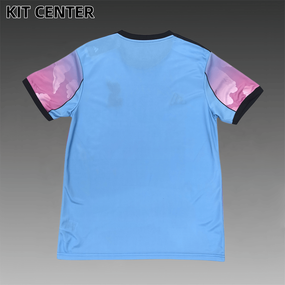 2025/2026 Liverpool Building Pink Special Edition Football Shirt (Fans)