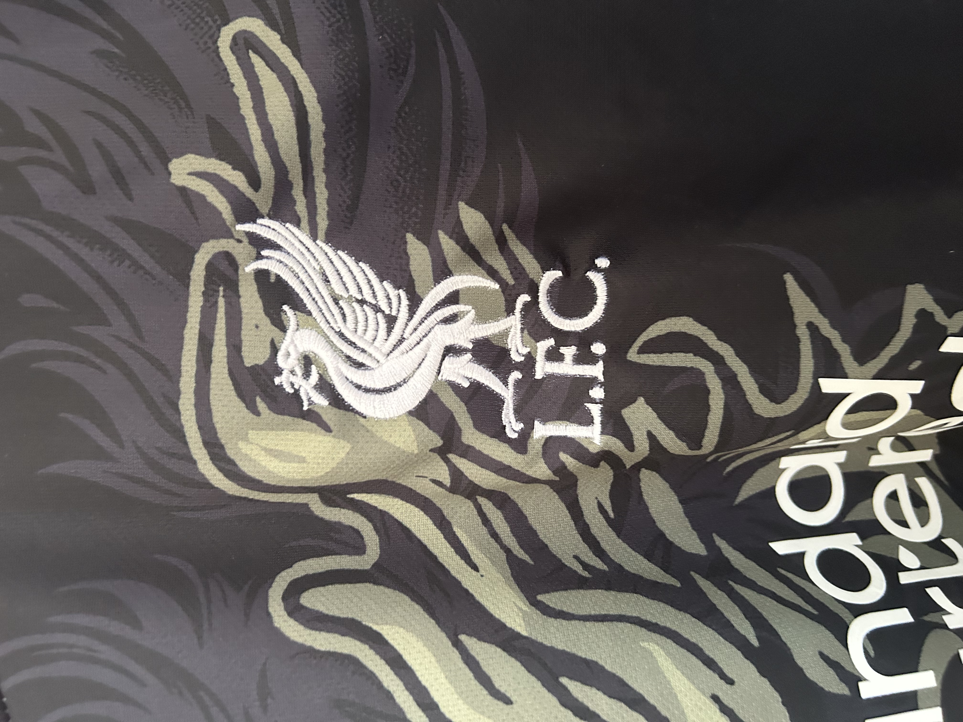 2025/2026 Liverpool Special Edition Football Shirt (Fans)