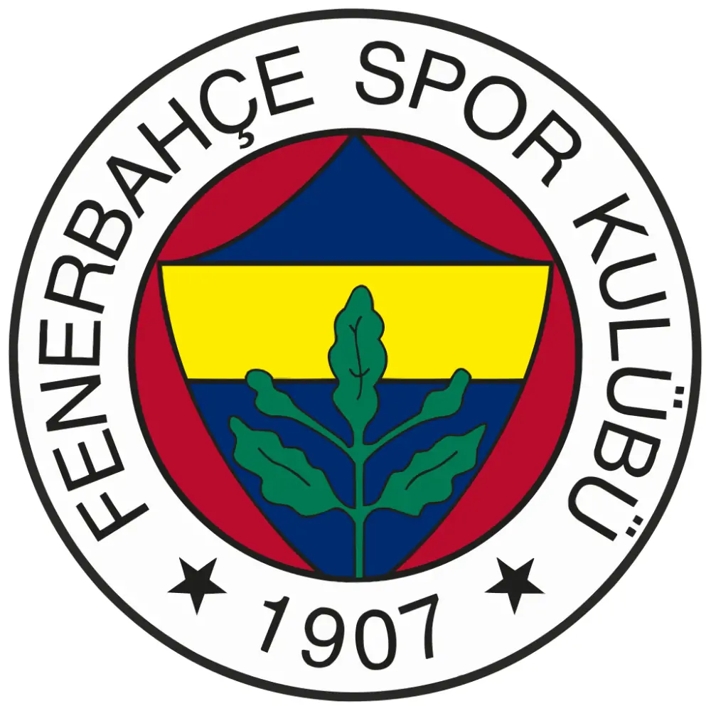 Fenerbahçe S.K. (football)