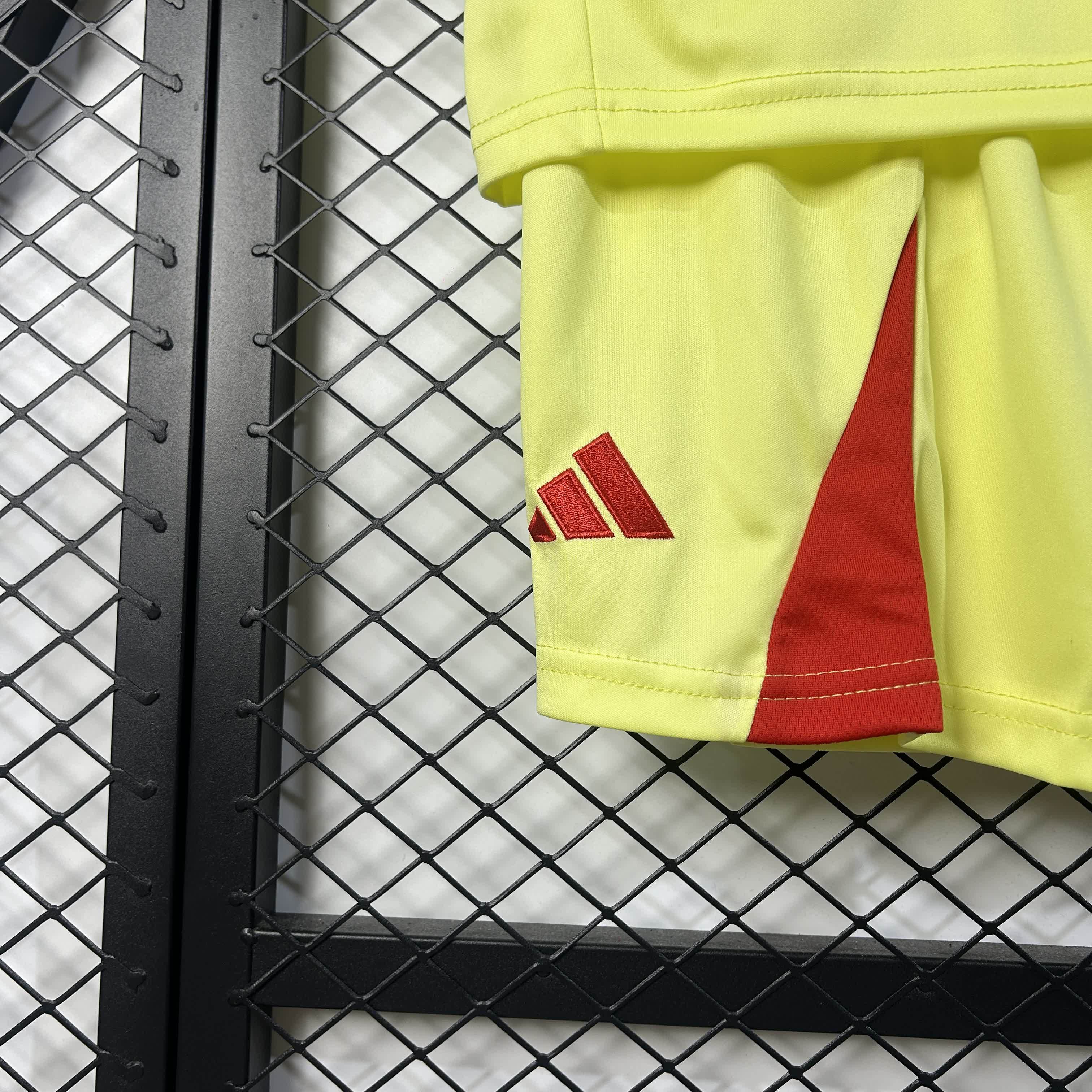 2025/2026 Benfica goalkeeper Football Shirt（Kids Kit socks）