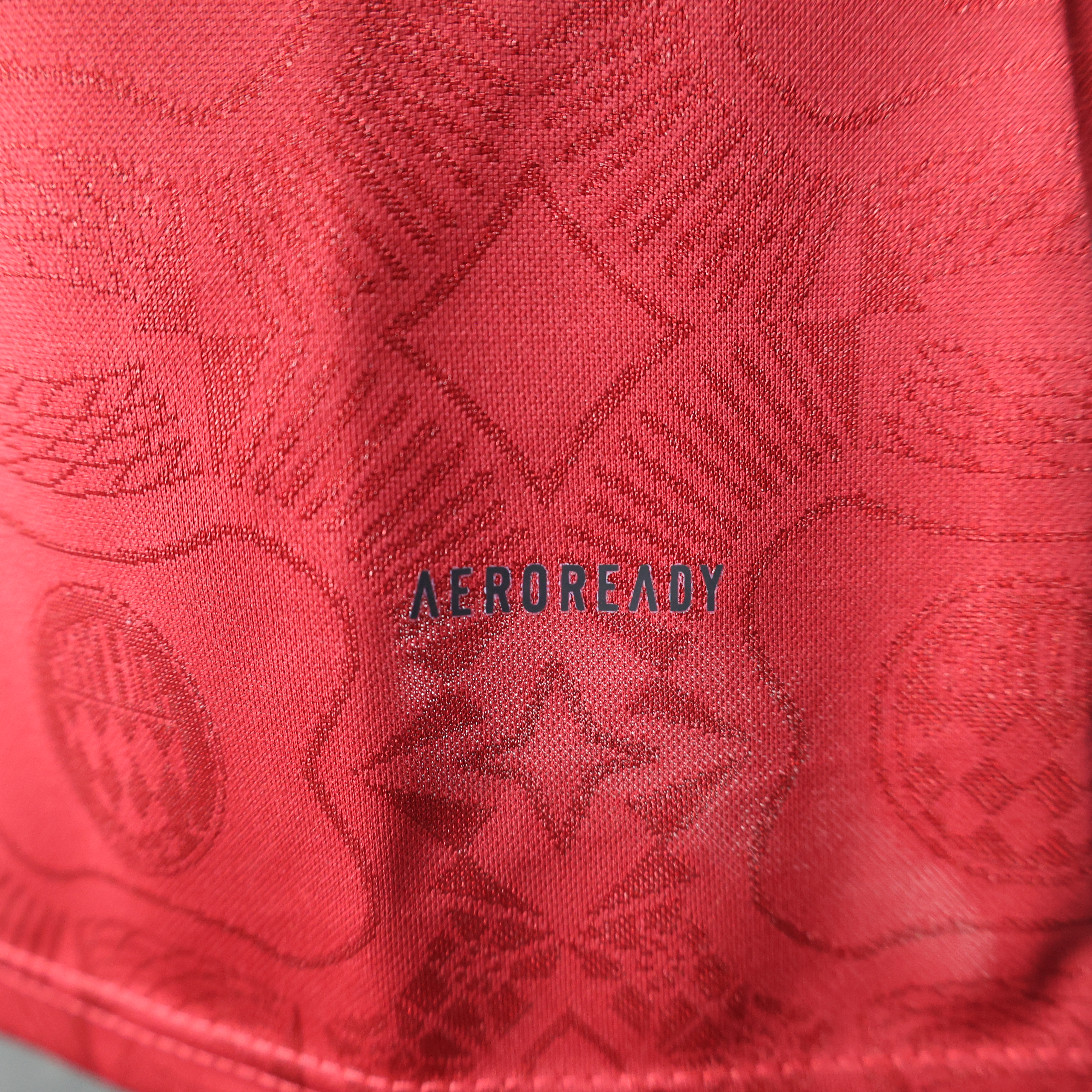 2025/2026 Bayern Munich 125th Anniversary EditionRed Long Sleeve Football Shirt (Player Edition)