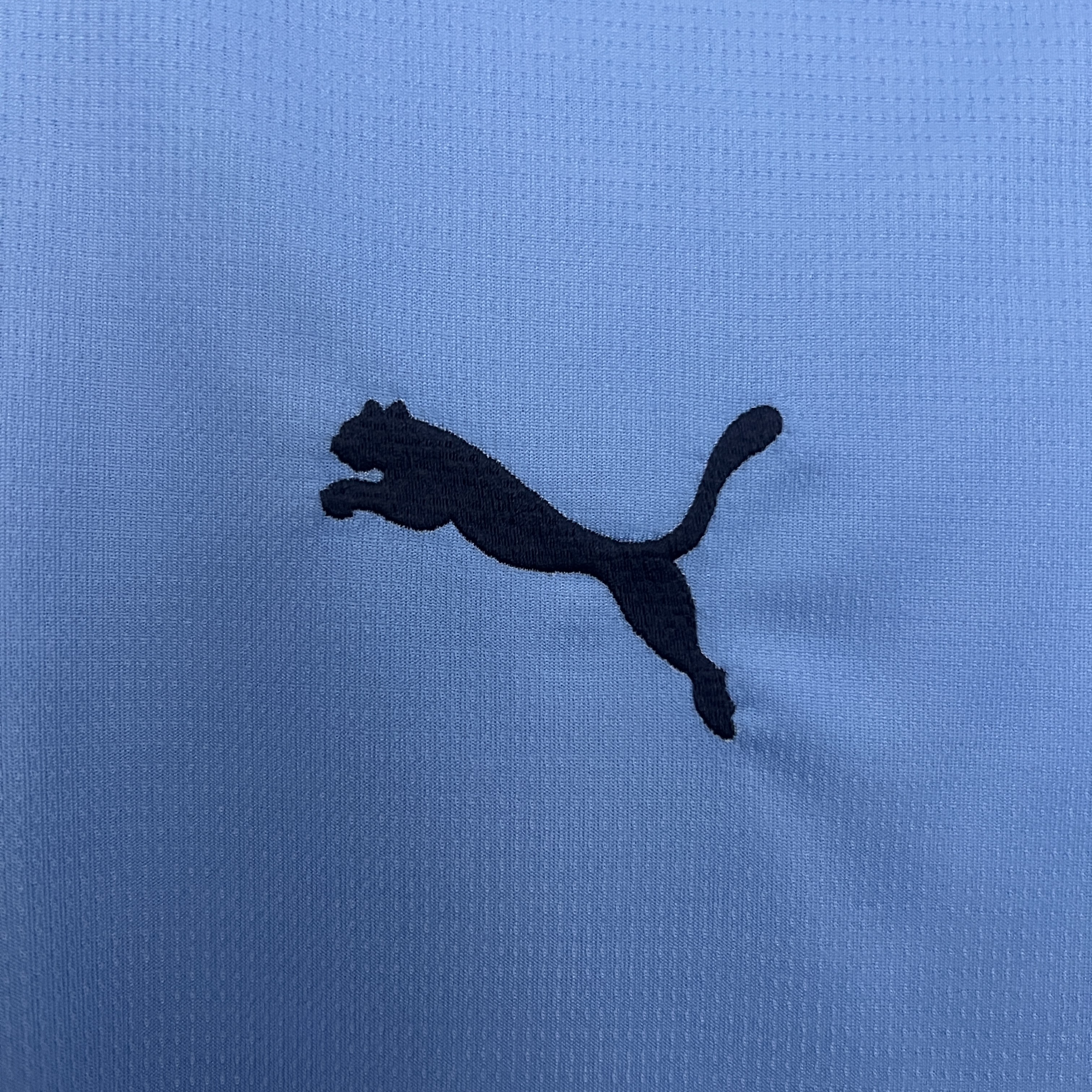 2025/2026 Manchester City Home Football Shirt (Fans)