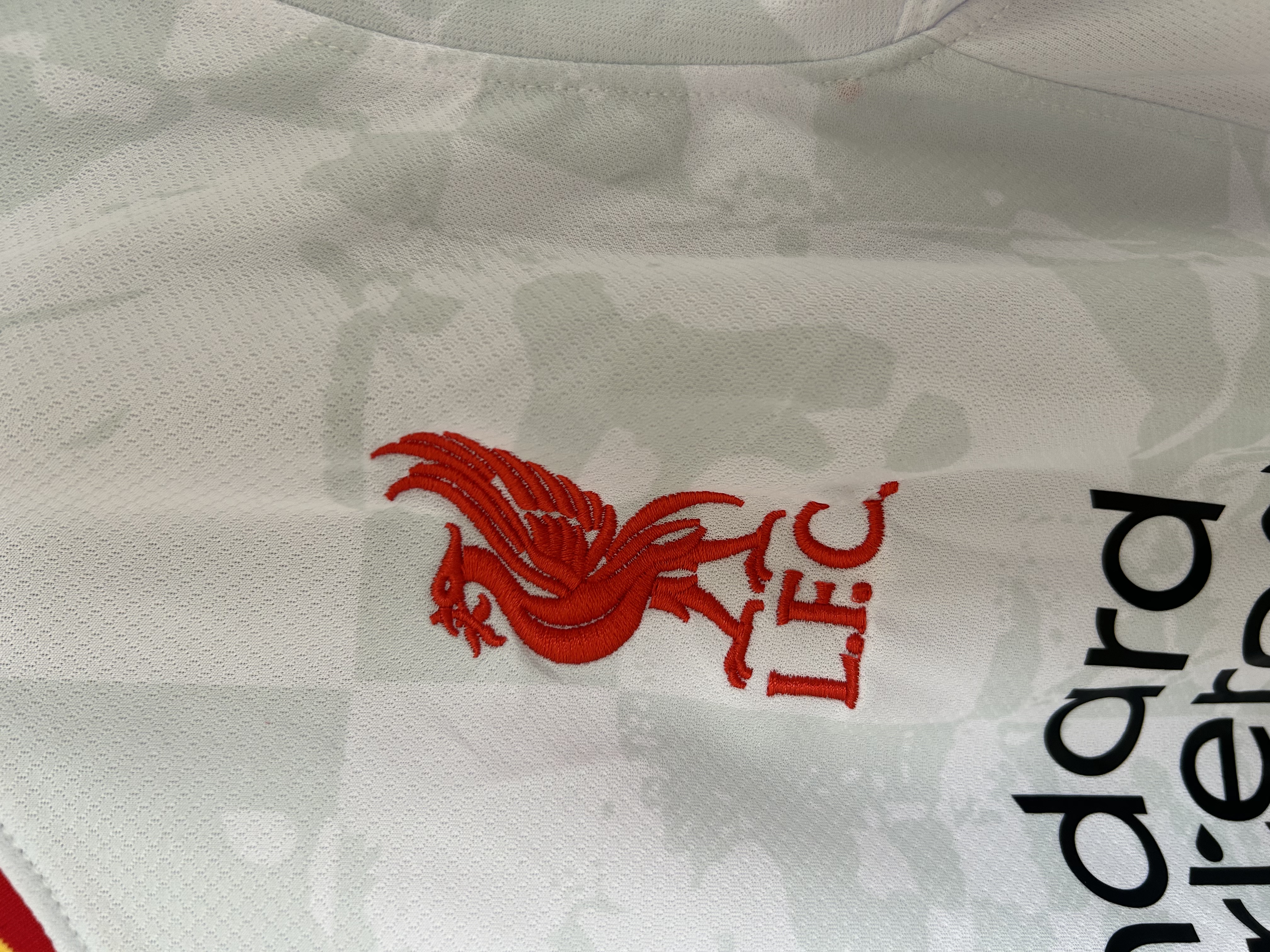 2024/2025 Liverpool FC Third Football Shirt (Fans)
