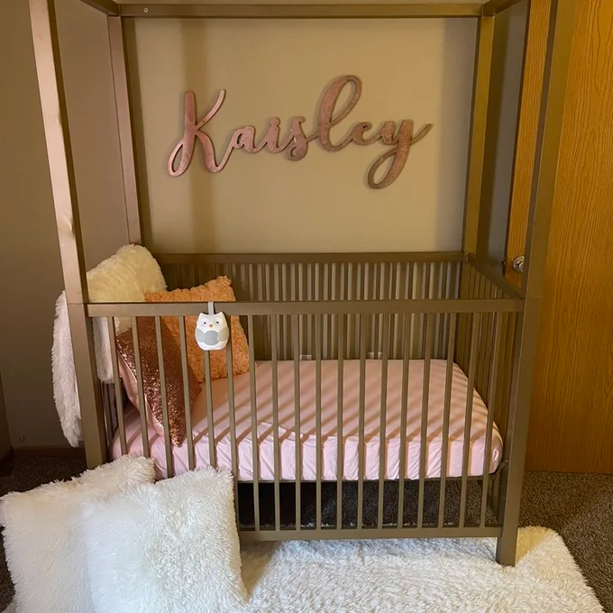 Monarch Hill Haven Canopy Crib
