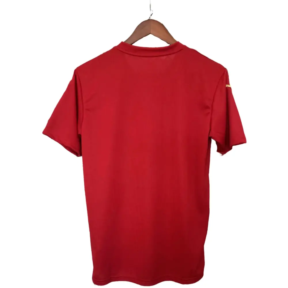 {{product_name}} High Quality Replica Football Jersey