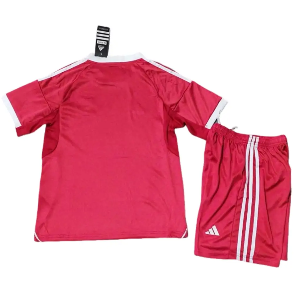 {{product_name}} High Quality Replica Football Jersey