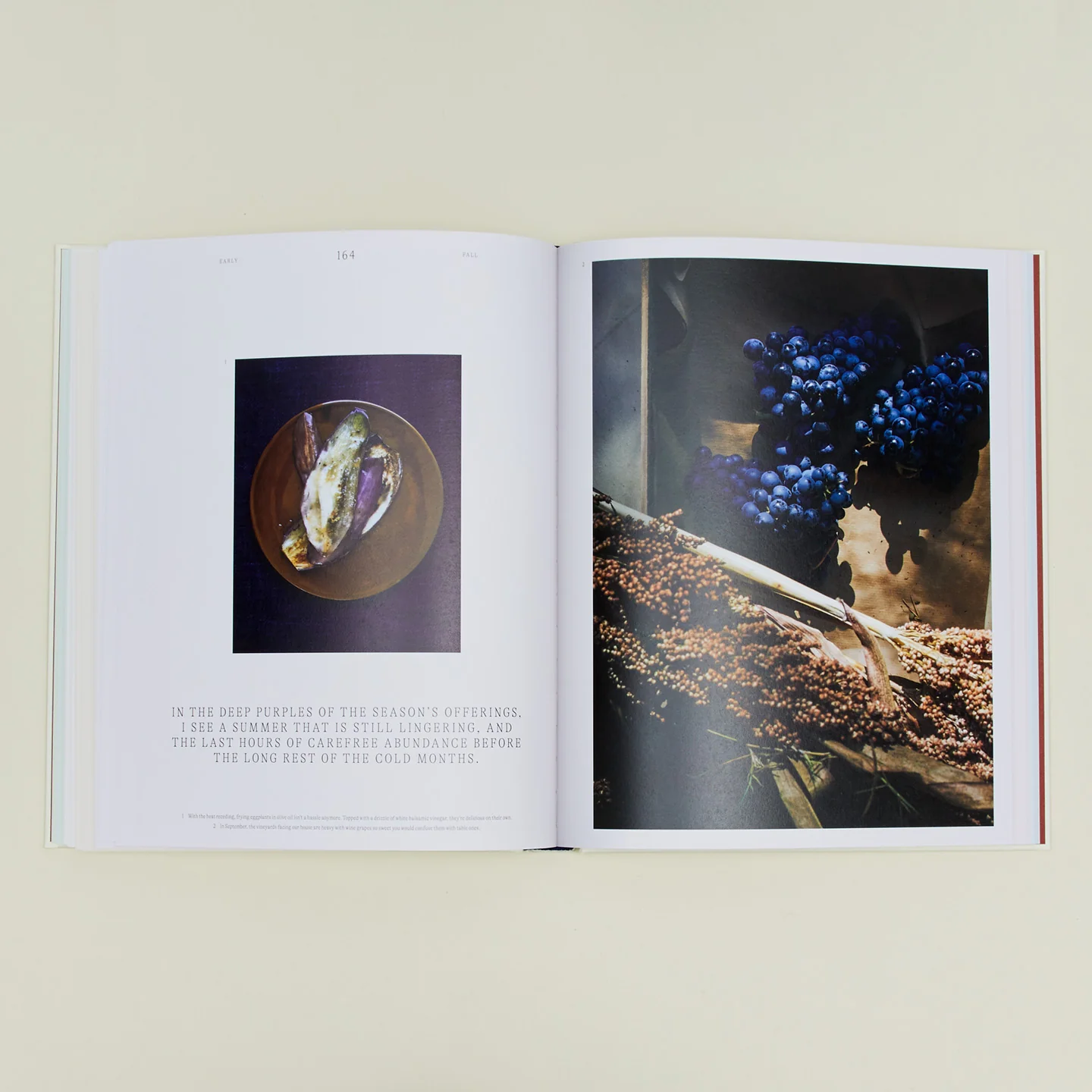 A Spoonful of Sun Book