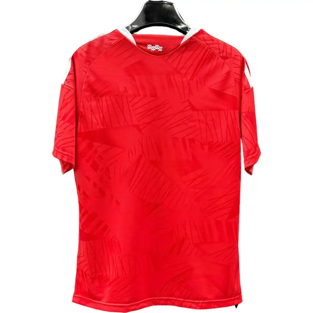 {{product_name}} High Quality Replica Football Jersey