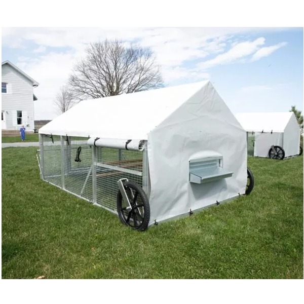 Galvanized metal chicken coop