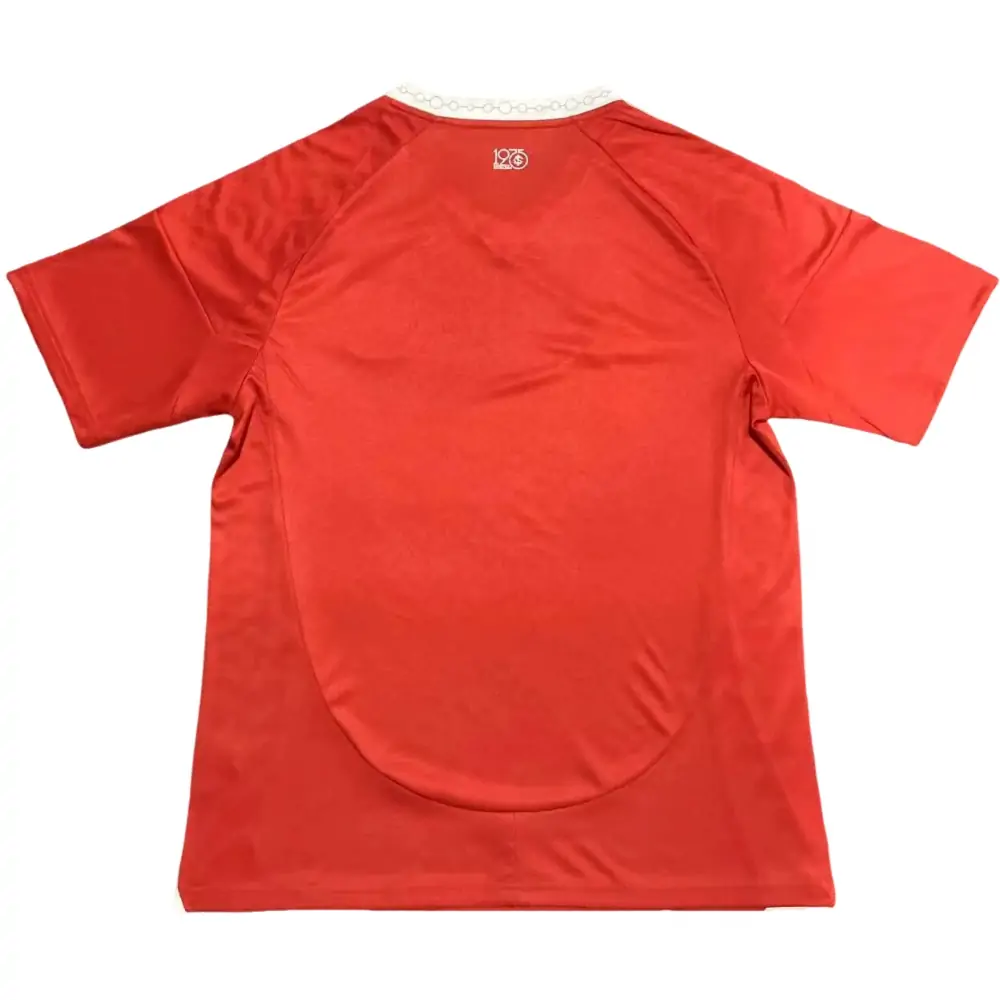 {{product_name}} High Quality Replica Football Jersey