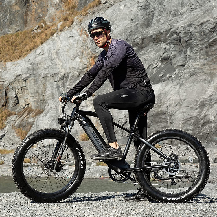 electric bicycle