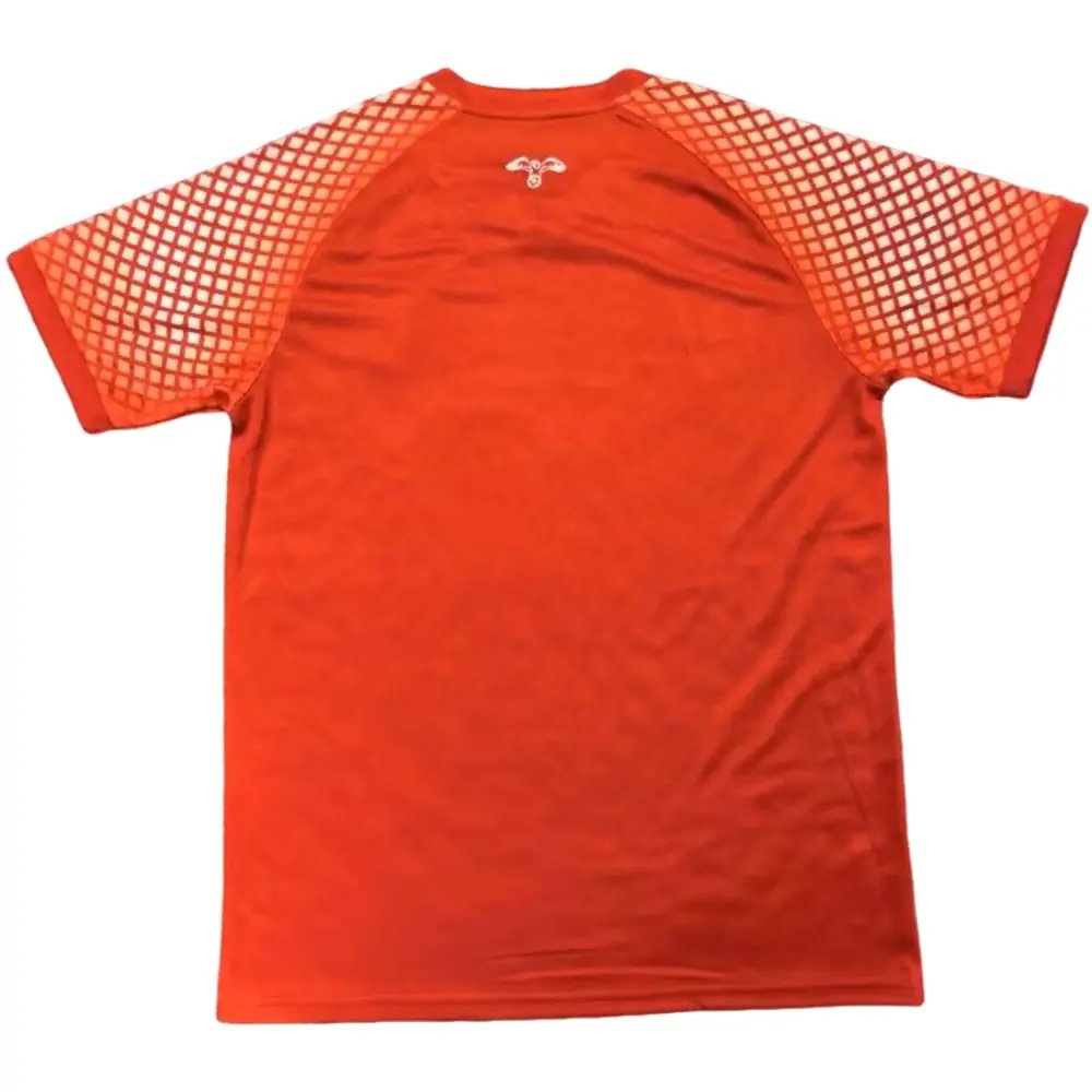 {{product_name}} High Quality Replica Football Jersey