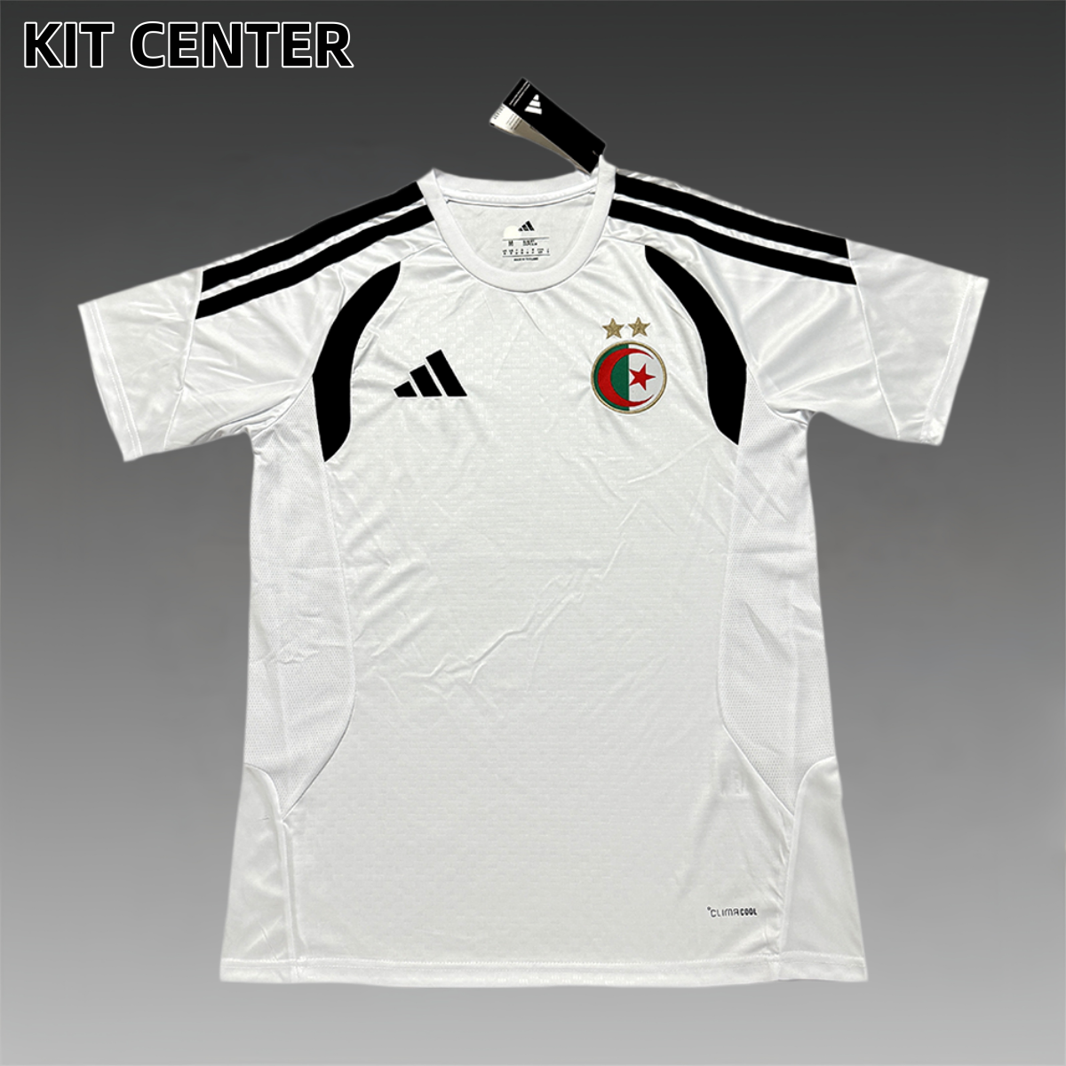2026 Algeria Pre-match Training Football Shirt (Fans Edition)