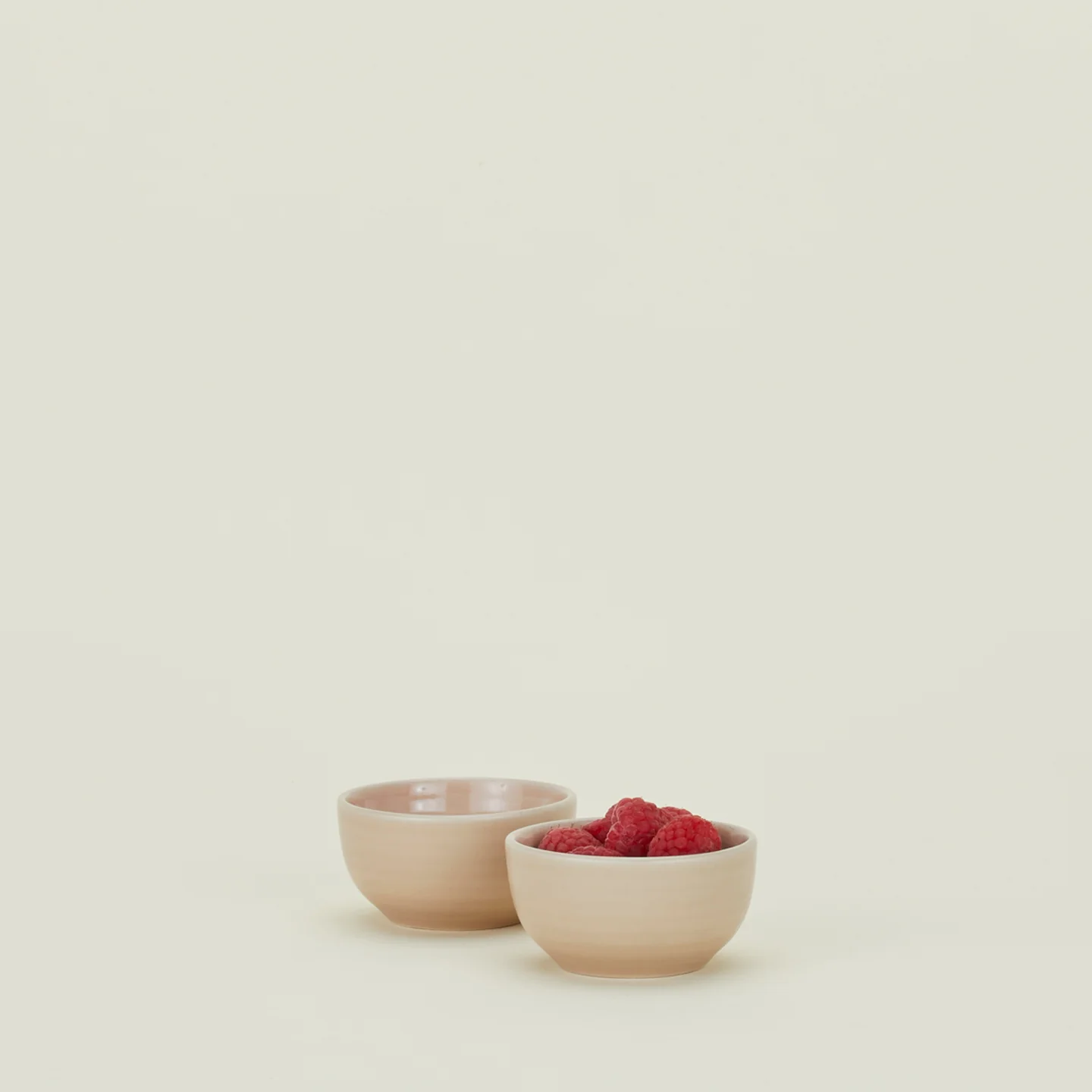 Essential Extra Small Bowl, Set of 2 - Blush