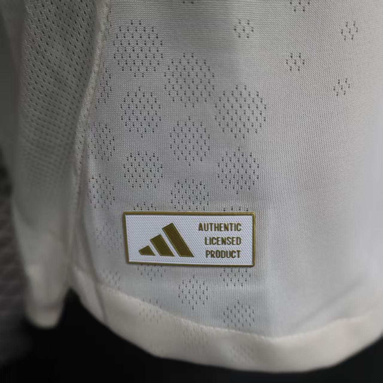 2025/2026 Liverpool Away and Home Shirt (Player Edition)