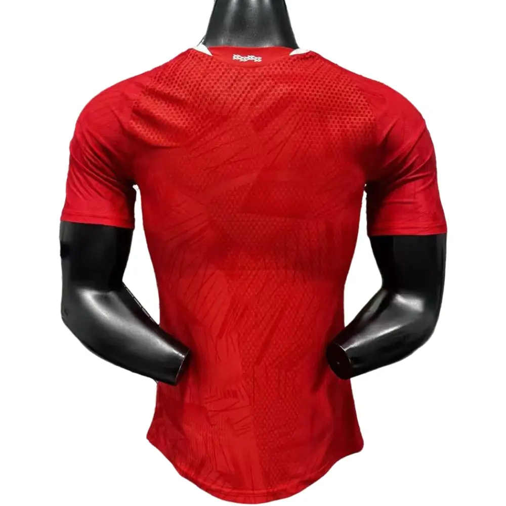 {{product_name}} High Quality Replica Football Jersey