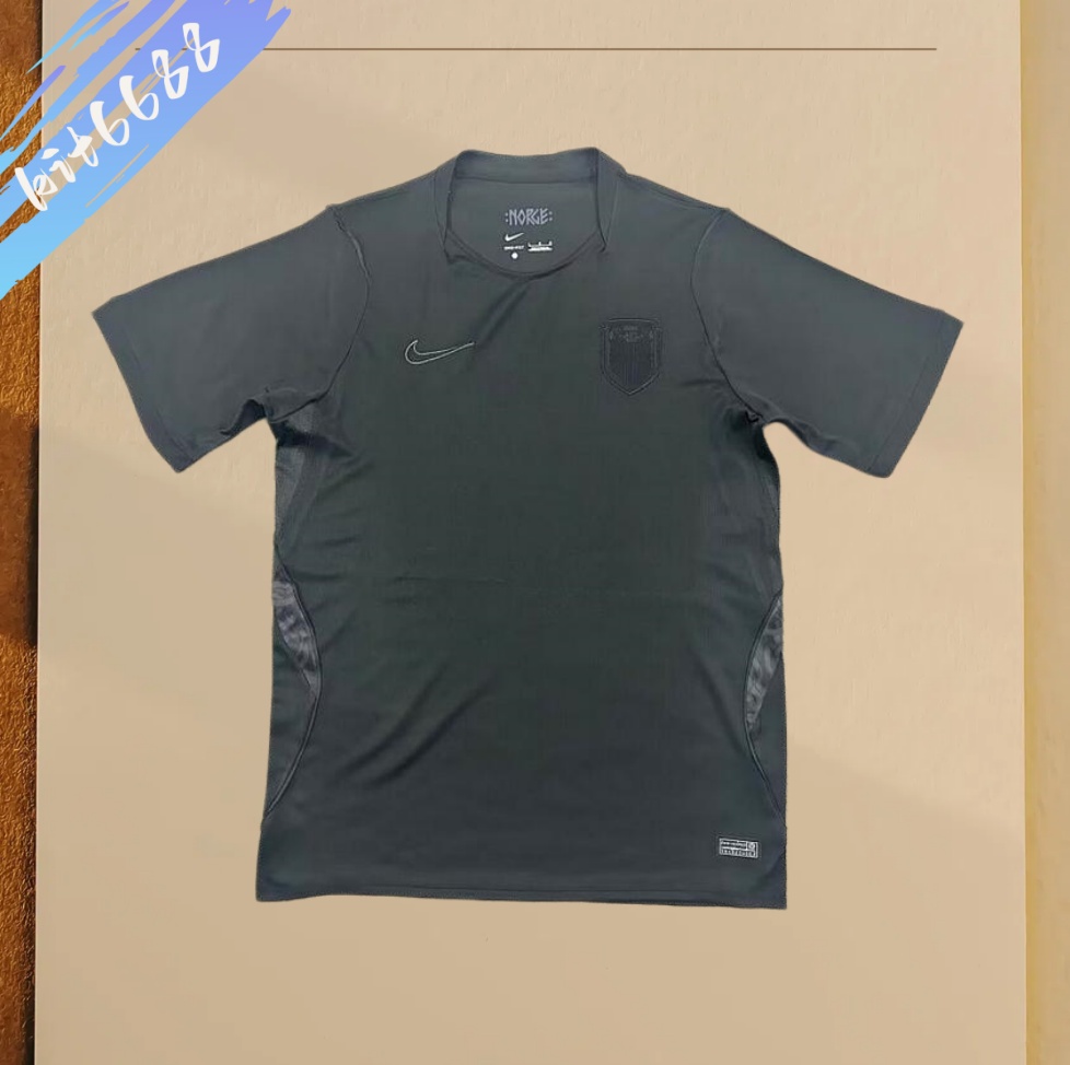 2026 Norway Away Football Shirt Fans version