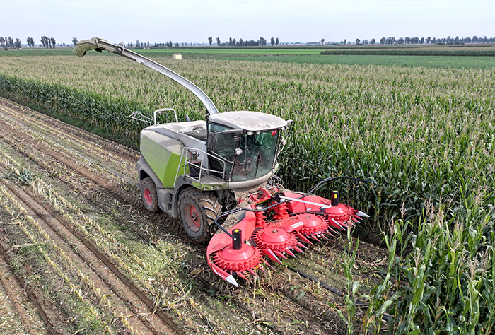 Forage Silage LS-M 4500 Header