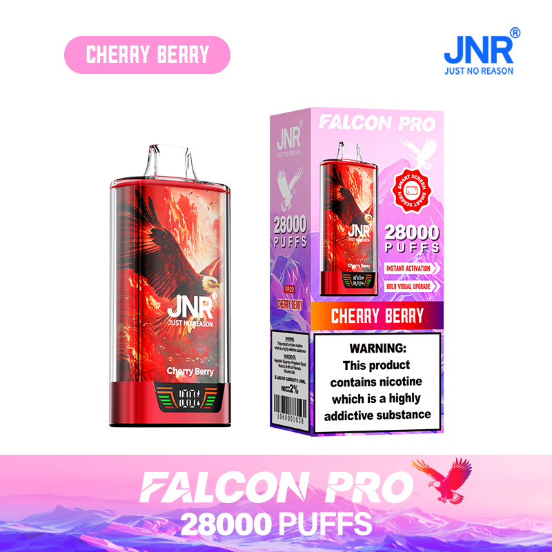 🍓🍇❄️JNR Falcon Pro 28000Züge- Einweg-E-Zigarette 🚀