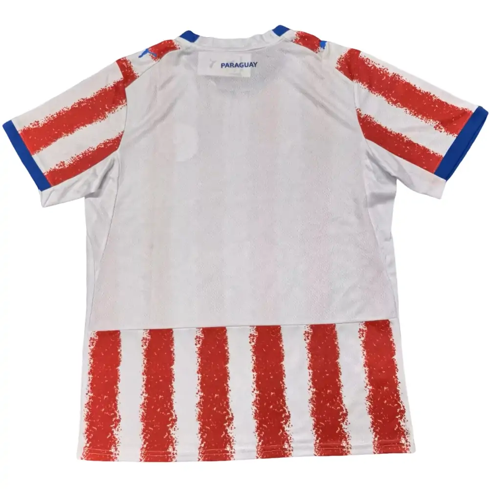 {{product_name}} High Quality Replica Football Jersey