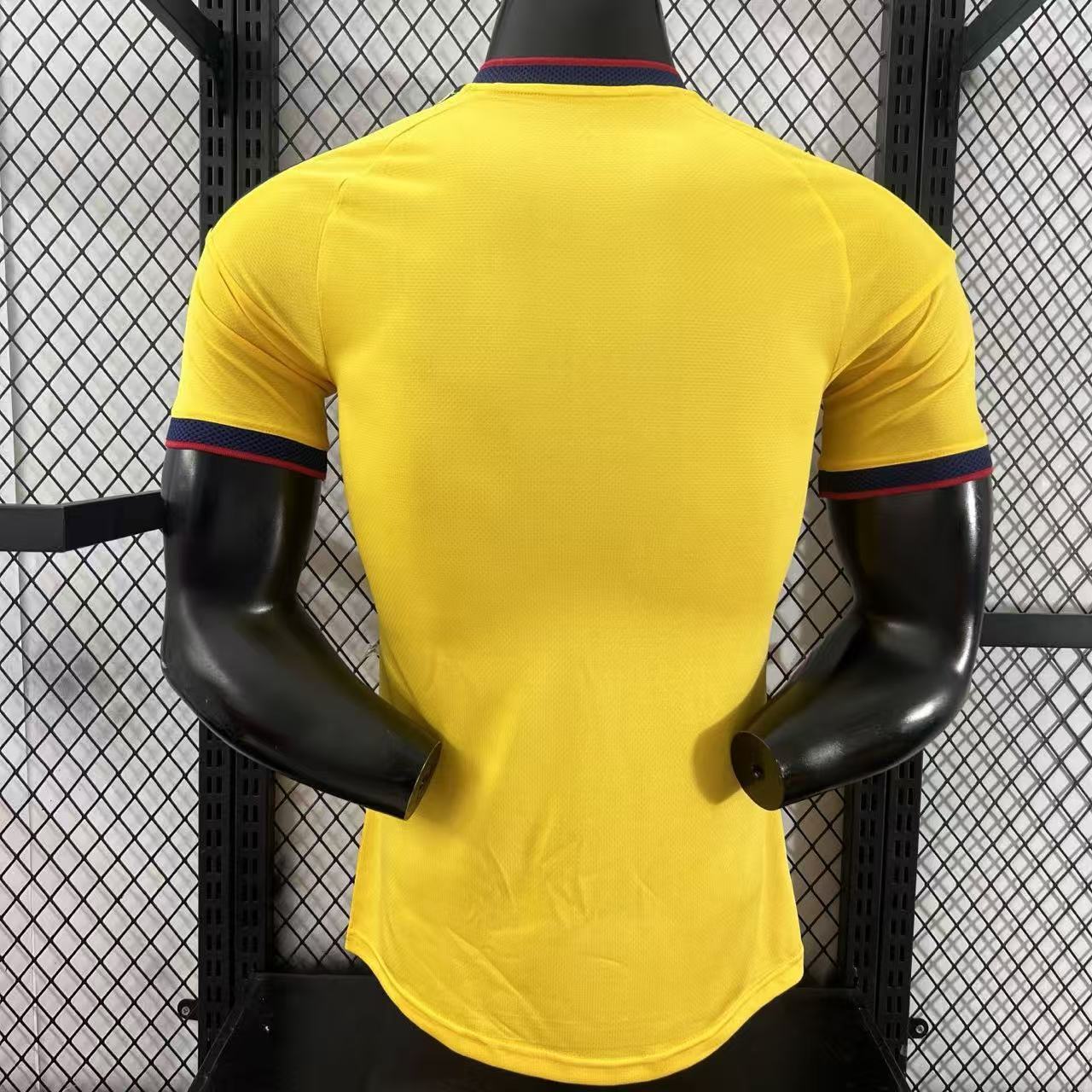 2026 Colombia Special Edition Football Shirt (Players)