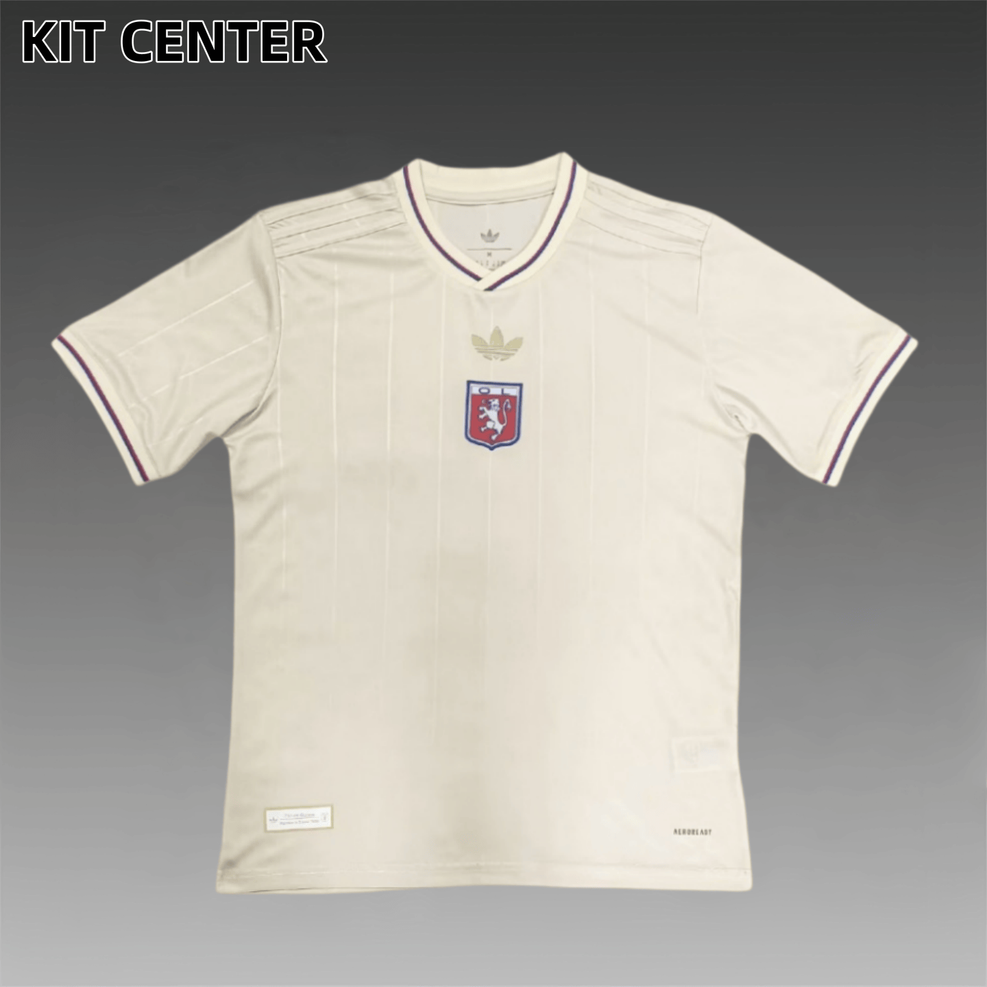 2025/2026 Lyon commemorative edition Football Shirt (Fan Edition)