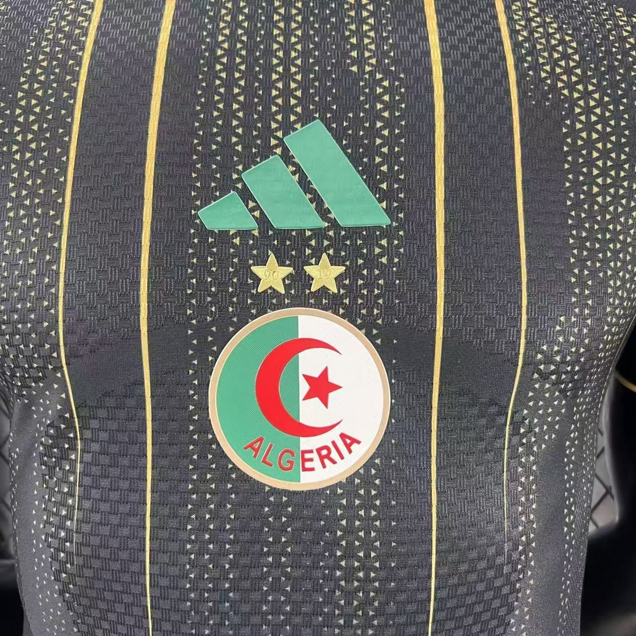 2026 Algeria Pre-match Training Football Shirt (Player Edition)