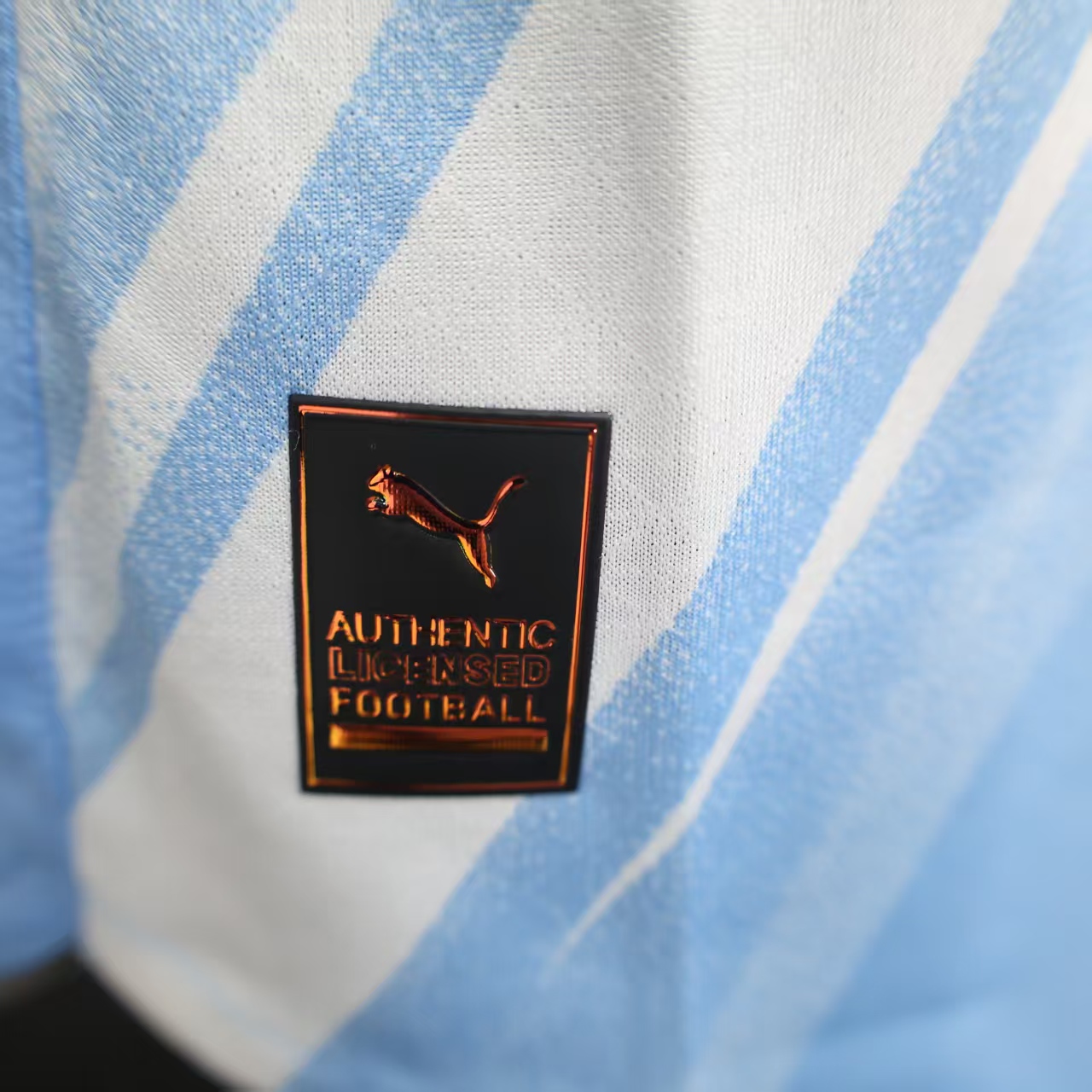 2025/2026 Manchester City FC Home Long Sleeve Football Shirt (Player)