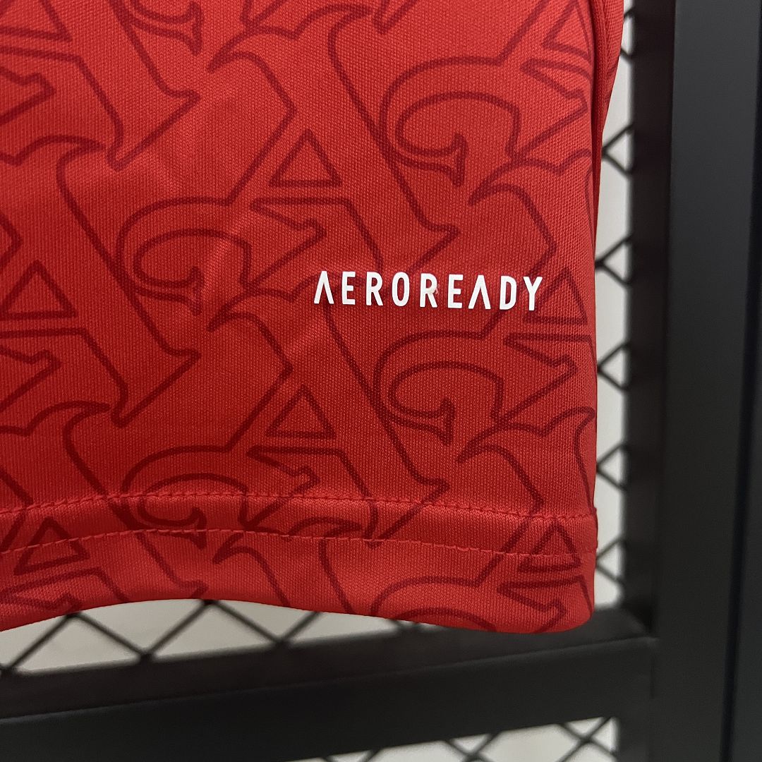 2025/2026 Arsenal Home Football Shirt（Fans）