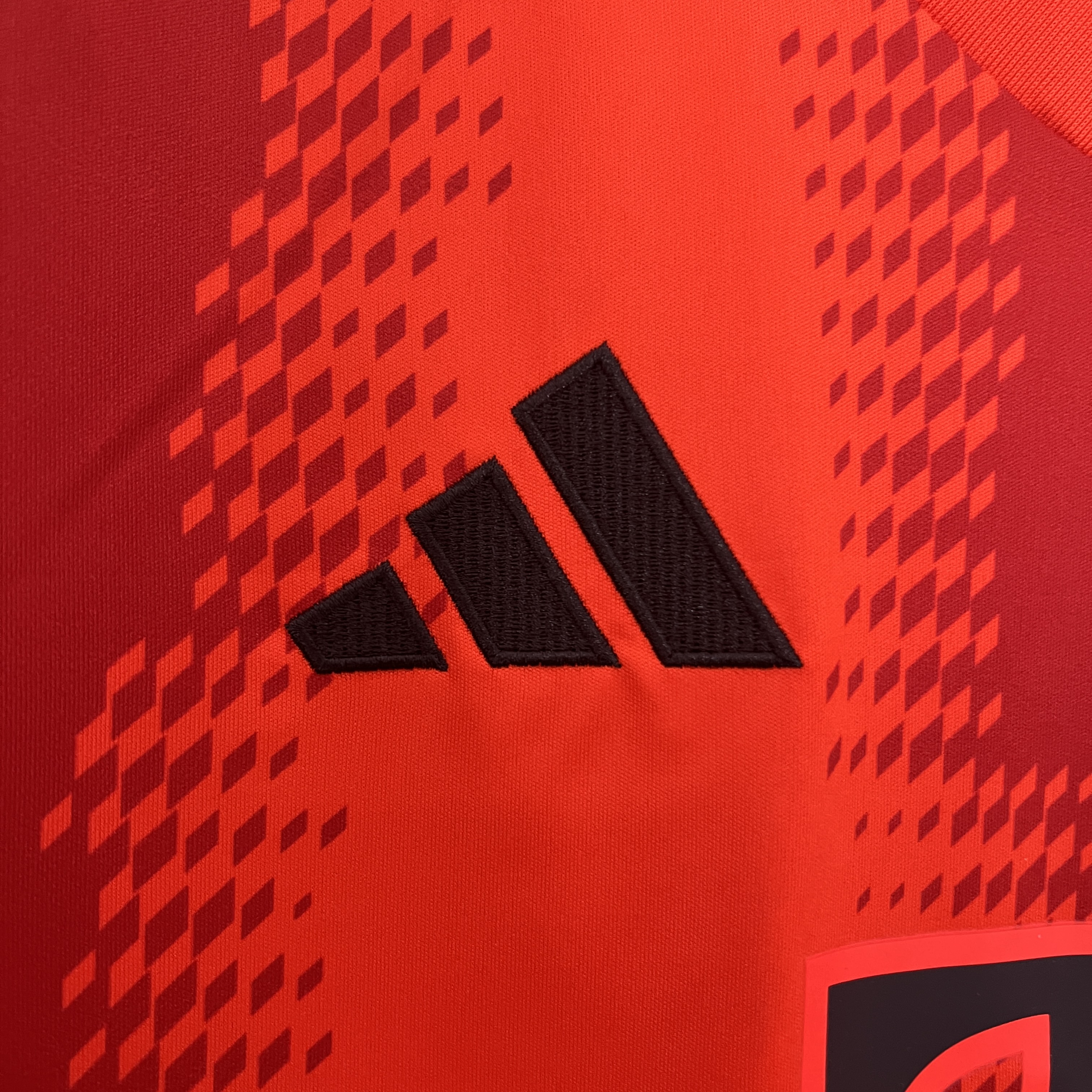 2024/2025 Bayern Munich Home Football Shirt (Fan Edition)