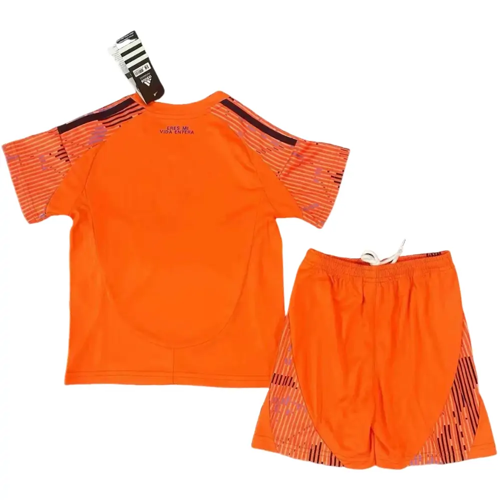 {{product_name}} High Quality Replica Football Jersey