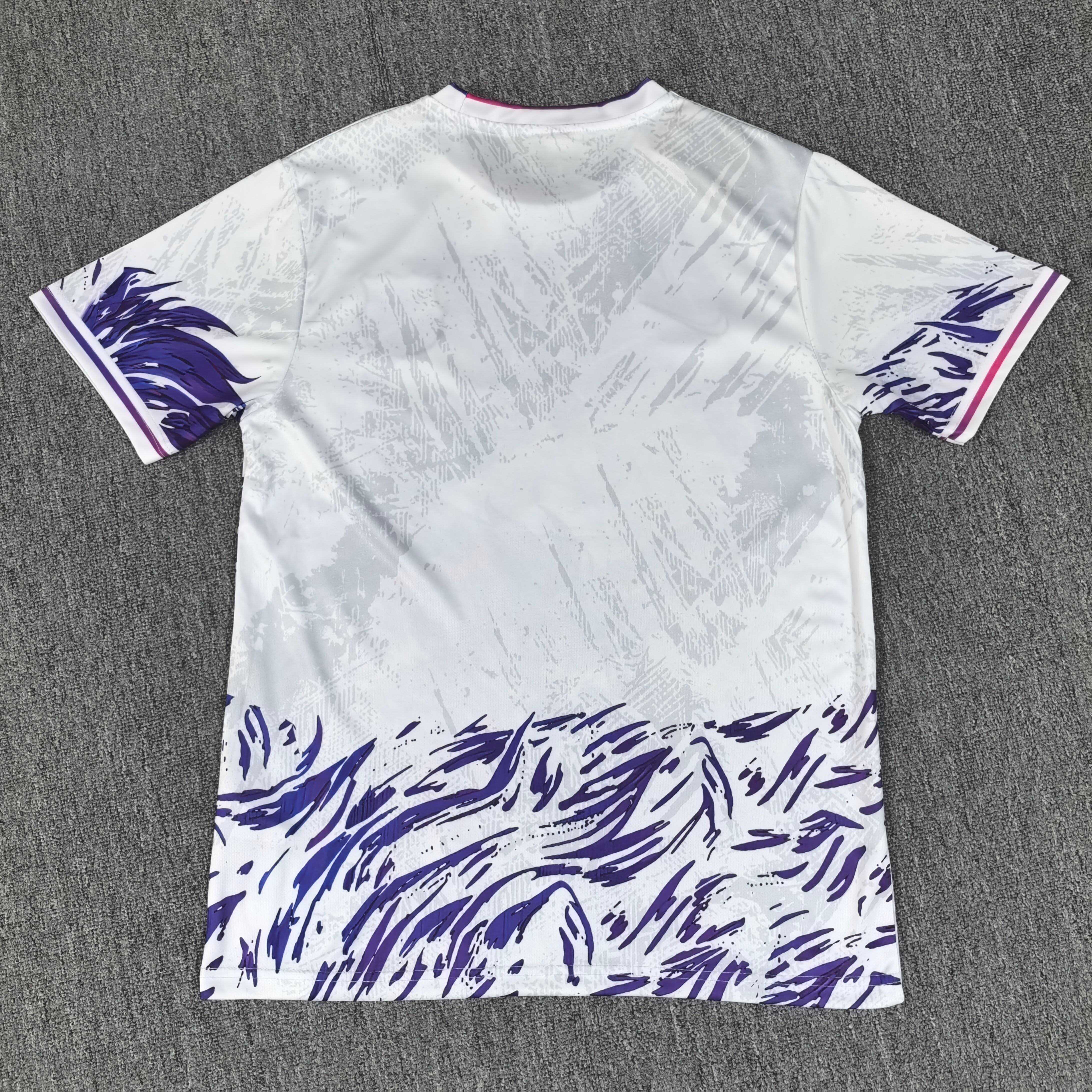 2025/2026 Barcelona Special Edition Football Jersey (Fan Edition)