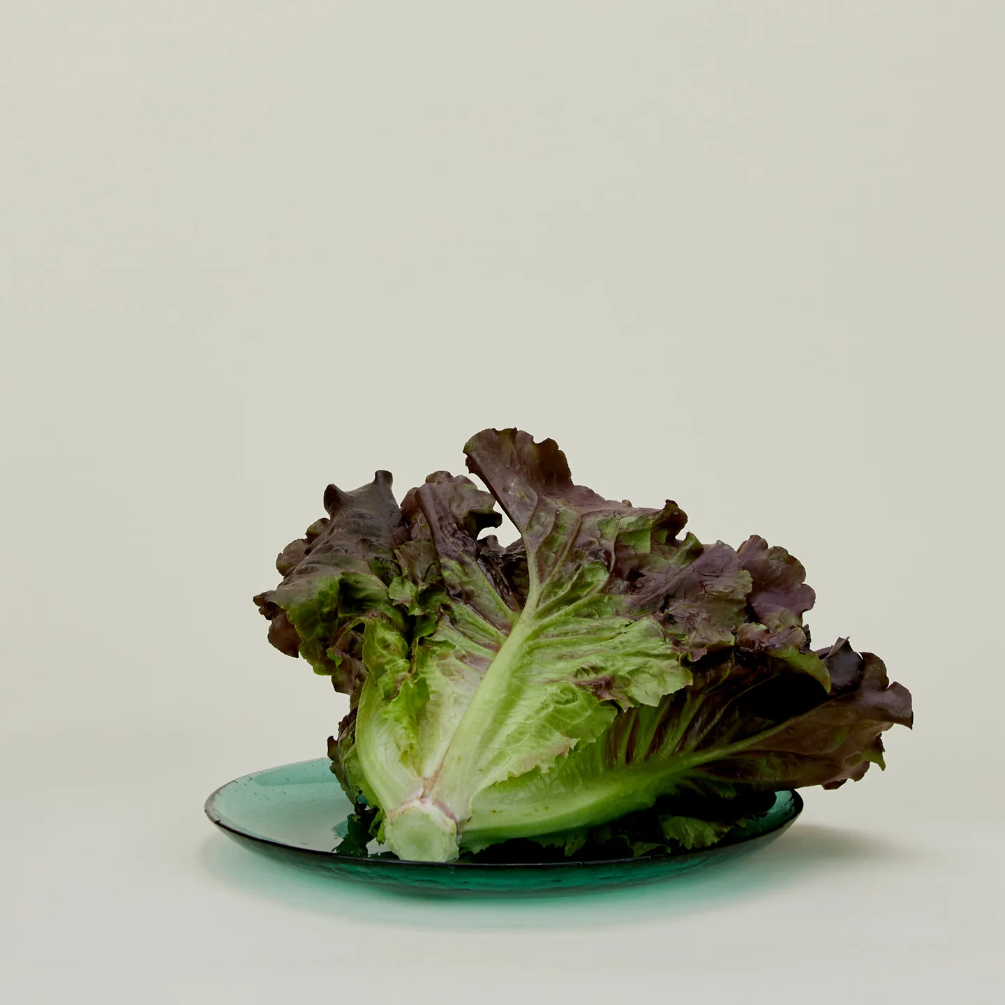 Glass Dinner Plate - Jade