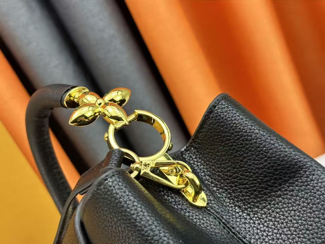 Louis Vuitton Capucines Bag