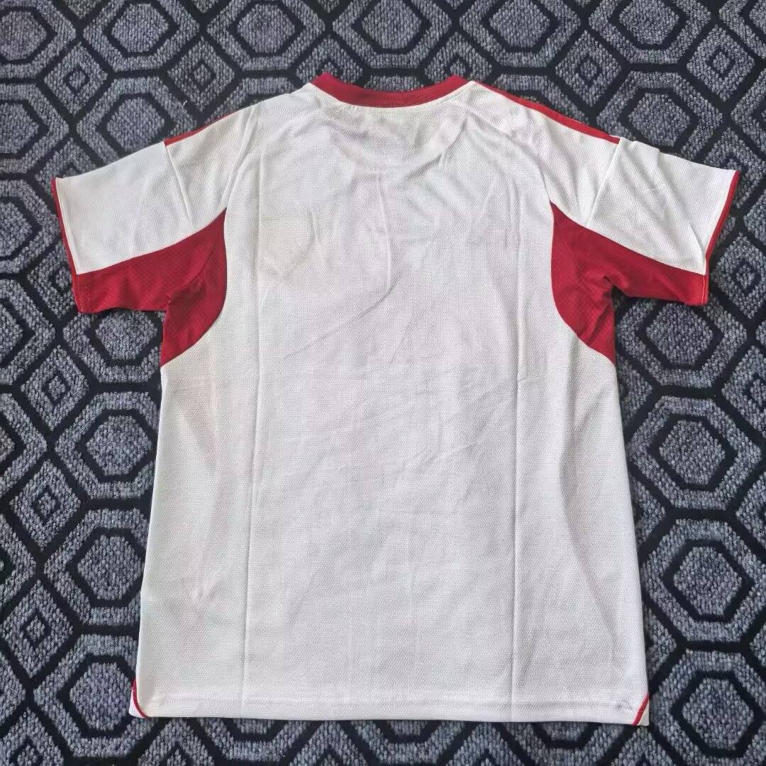 {{product_name}} High Quality Replica Football Jersey