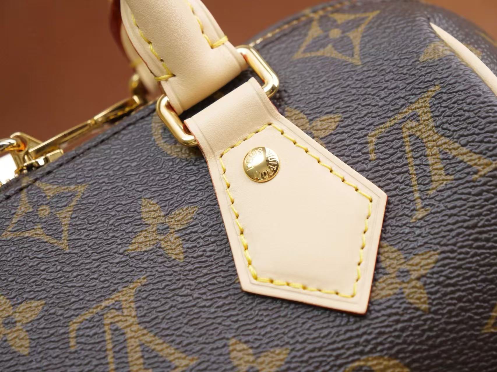 Louis Vuitton Speedy 20 Bag