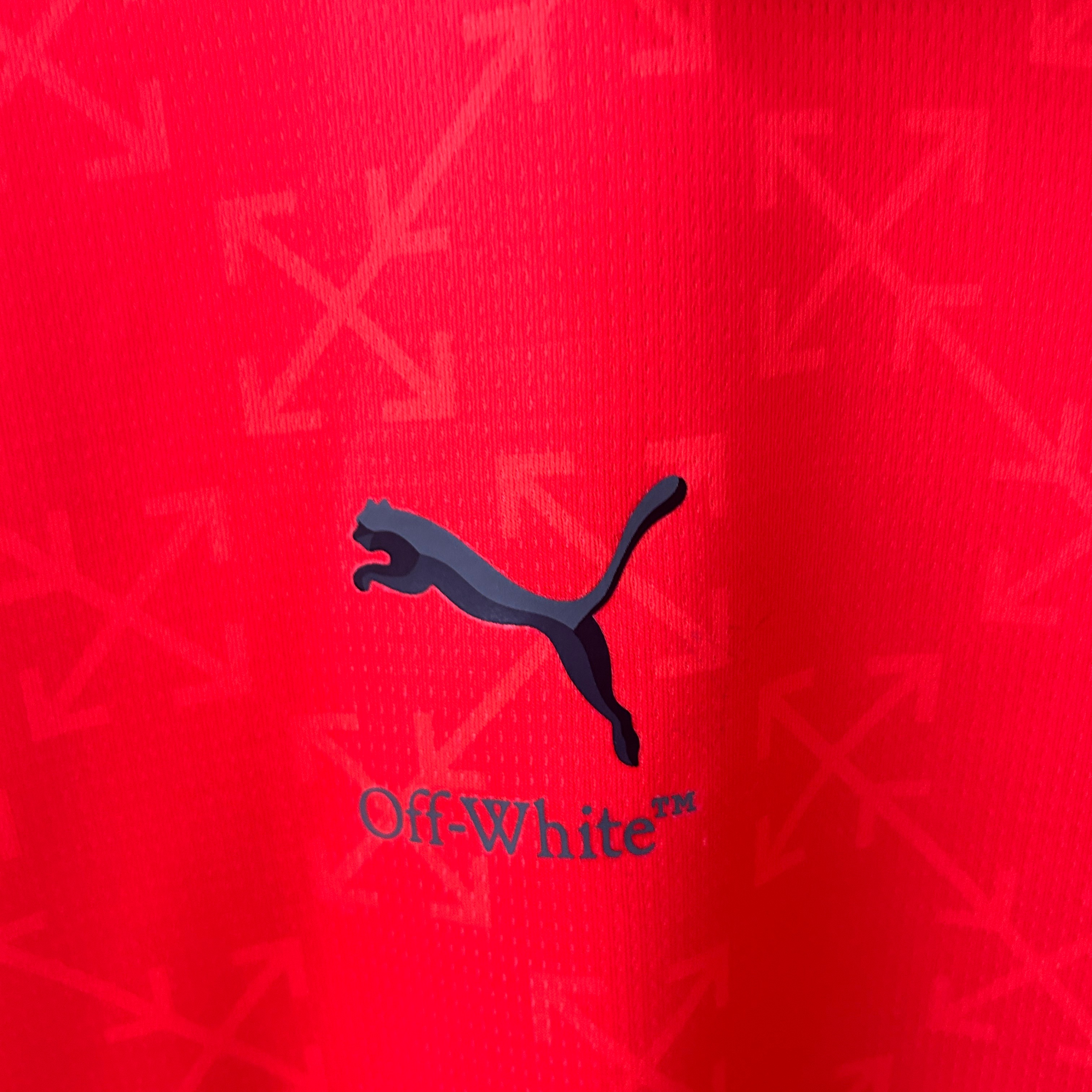 2025/2026 AC Milan Joint Edition Football Shirt (Fan Edition)