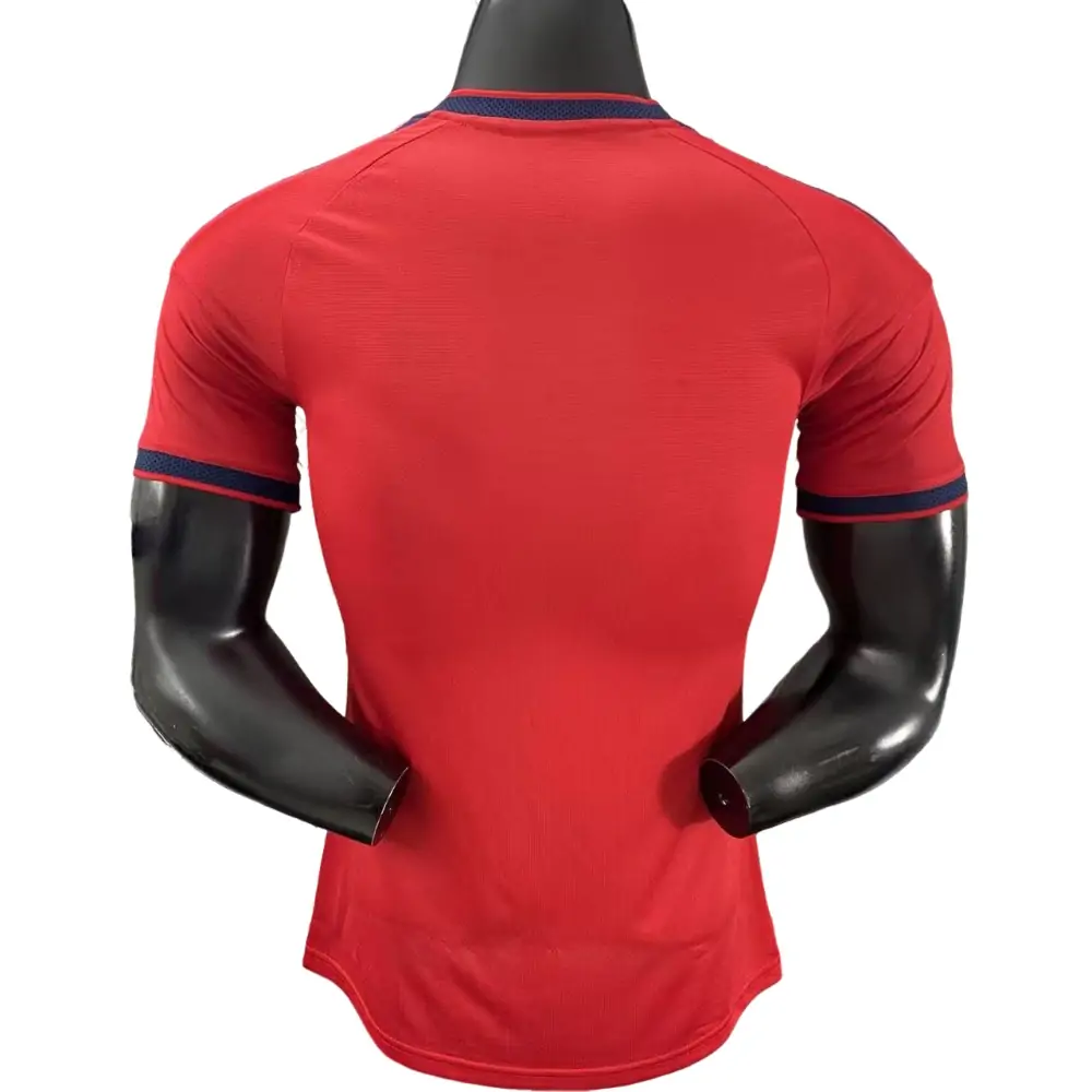 {{product_name}} High Quality Replica Football Jersey