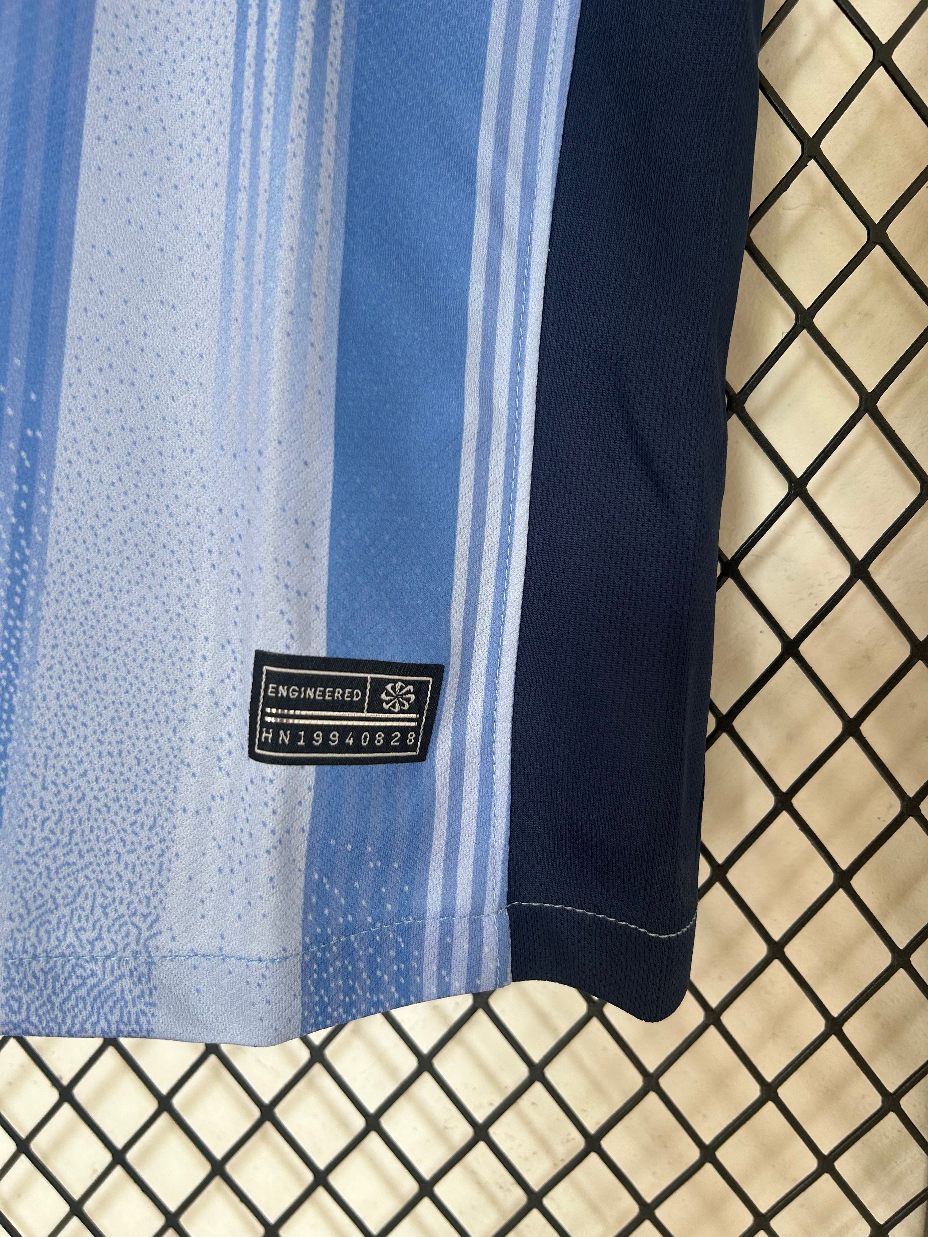 2024/2025 Tottenham Away Football Shirt (Fan Edition)