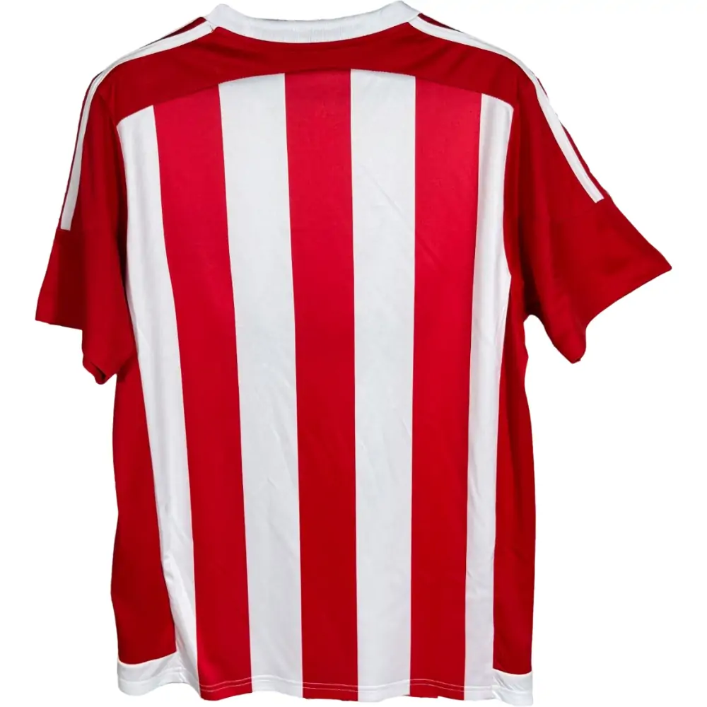 {{product_name}} High Quality Replica Football Jersey