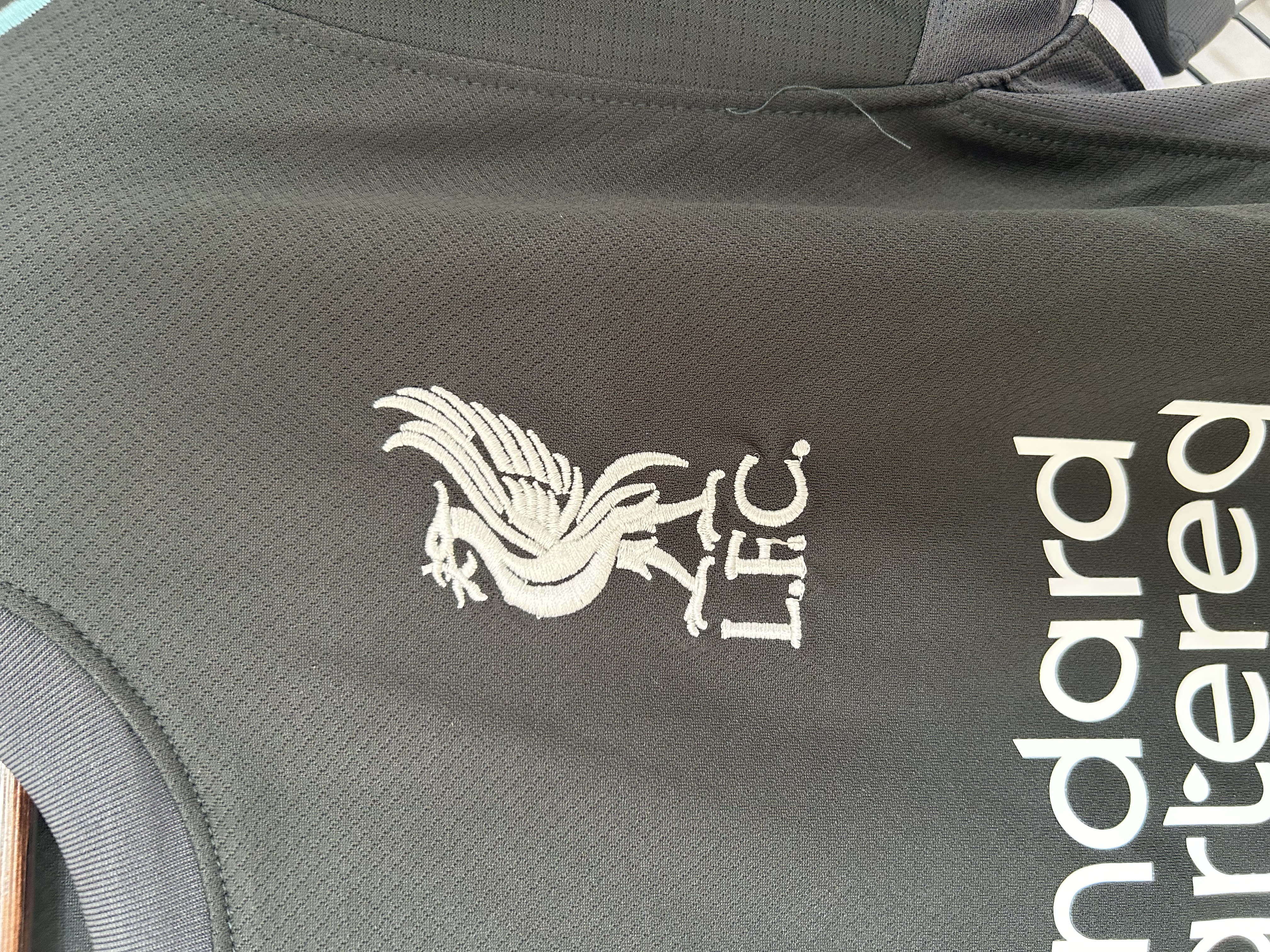 2024/2025 Liverpool Away Football Shirt (Fans)