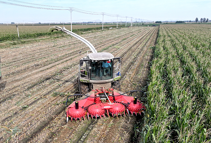 Forage Silage LS-M 4500 Header