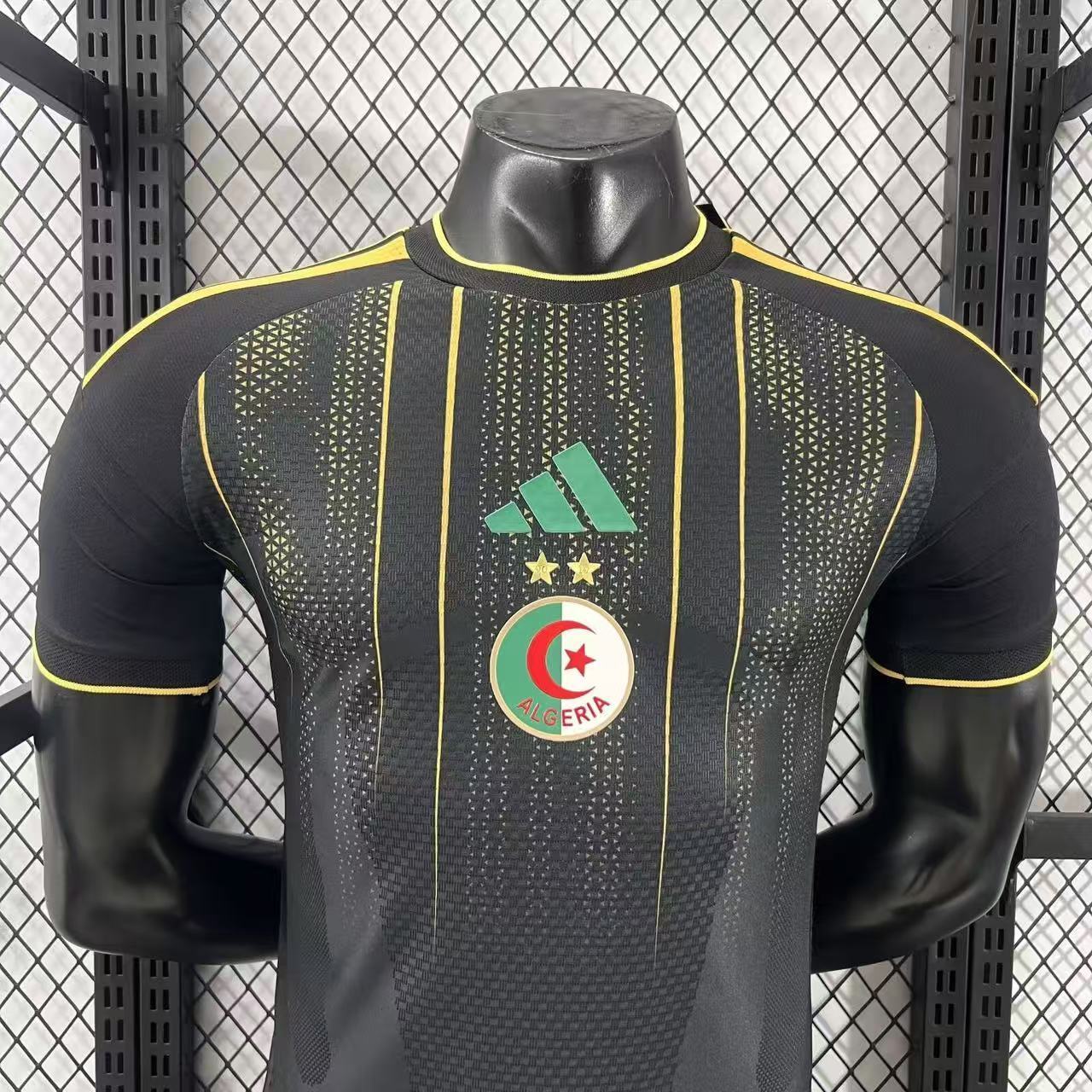 2026 Algeria Pre-match Training Football Shirt (Player Edition)
