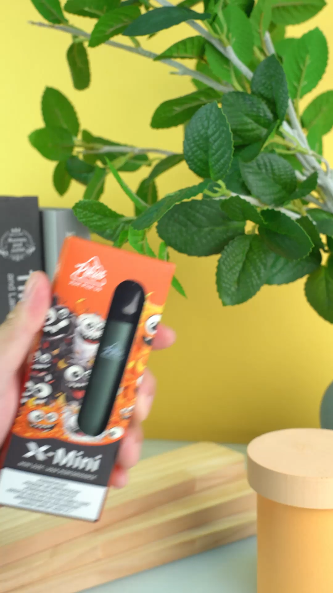 Pikus X-mini Pod Kit