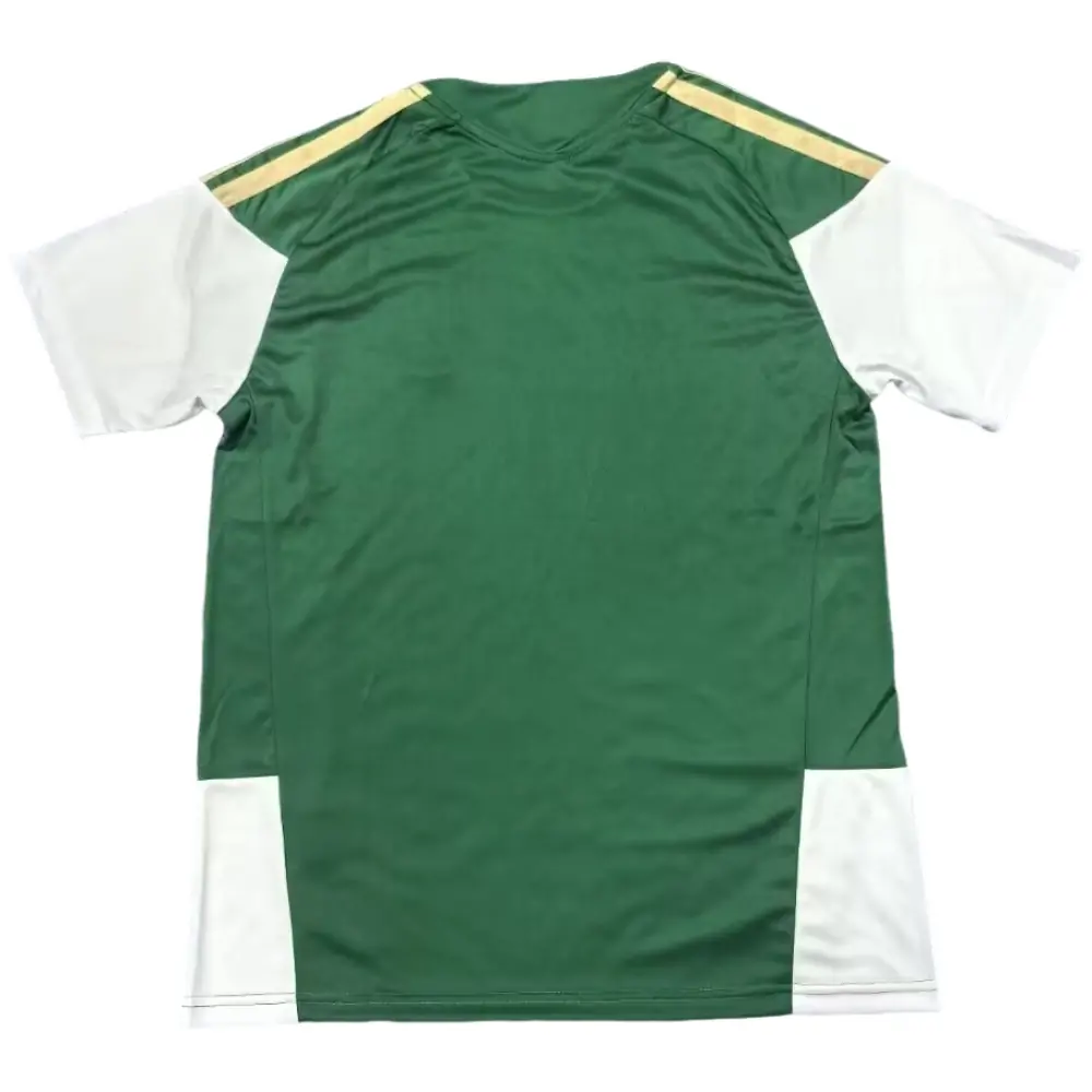 {{product_name}} High Quality Replica Football Jersey